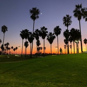 Meet your Posher, Anne